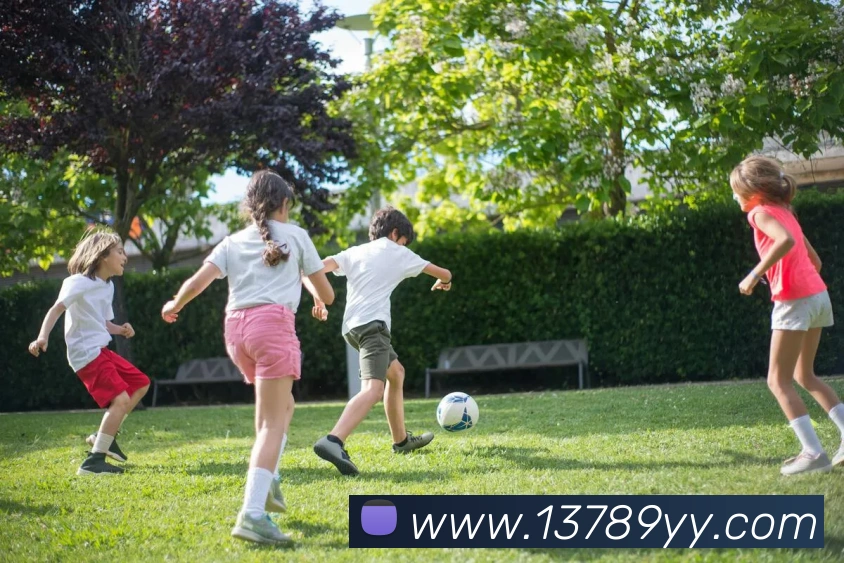 奖项证书
